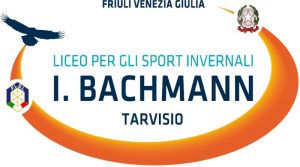 Logo Bachmann2