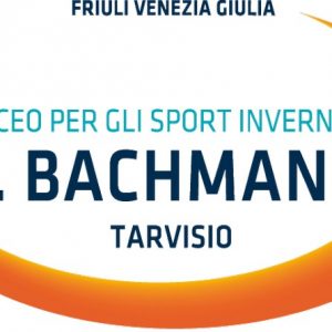 Logo Bachmann2